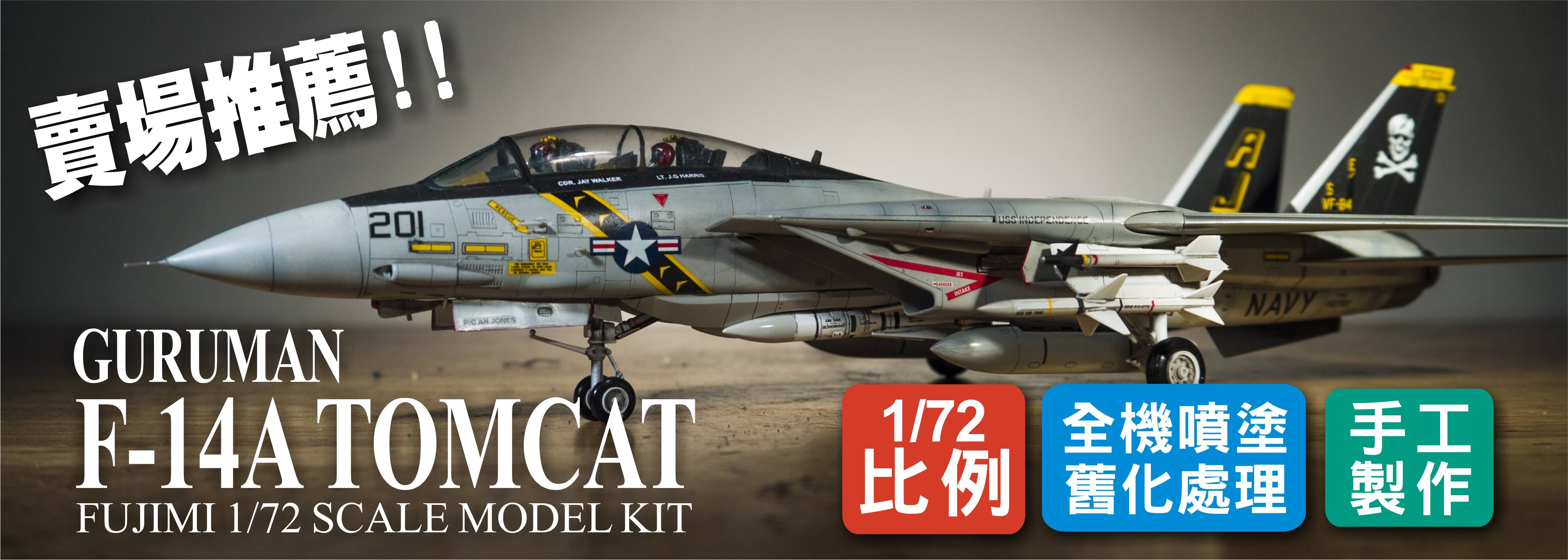 戰鬥機#富士美 FUJIMI 1/72 F-14熊貓戰鬥機全機噴塗舊化手工完成品展示